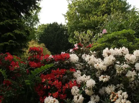 Por qué abril es el mes más bonito para visitar Londres: Guía para ver los tulipanes en Hyde Park y los jardines de Kensington Por qué abril es el mes más bonito para visitar Londres: Guía para ver los tulipanes en Hyde Park y los jardines de Kensington