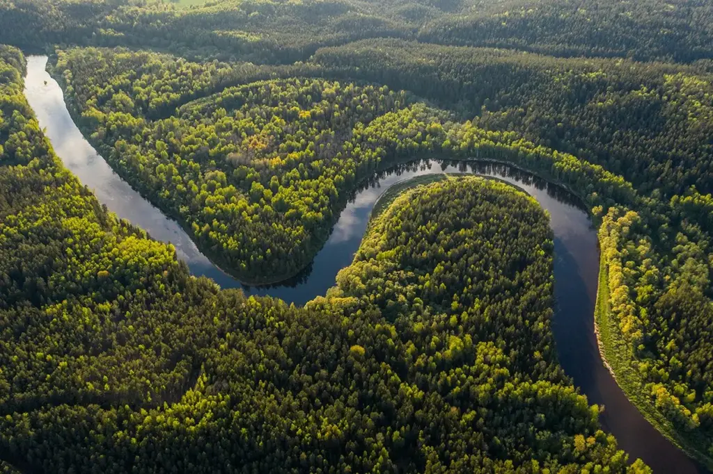 La Amazonia experimenta un clima hipertrópico sin precedentes desde hace millones de años
