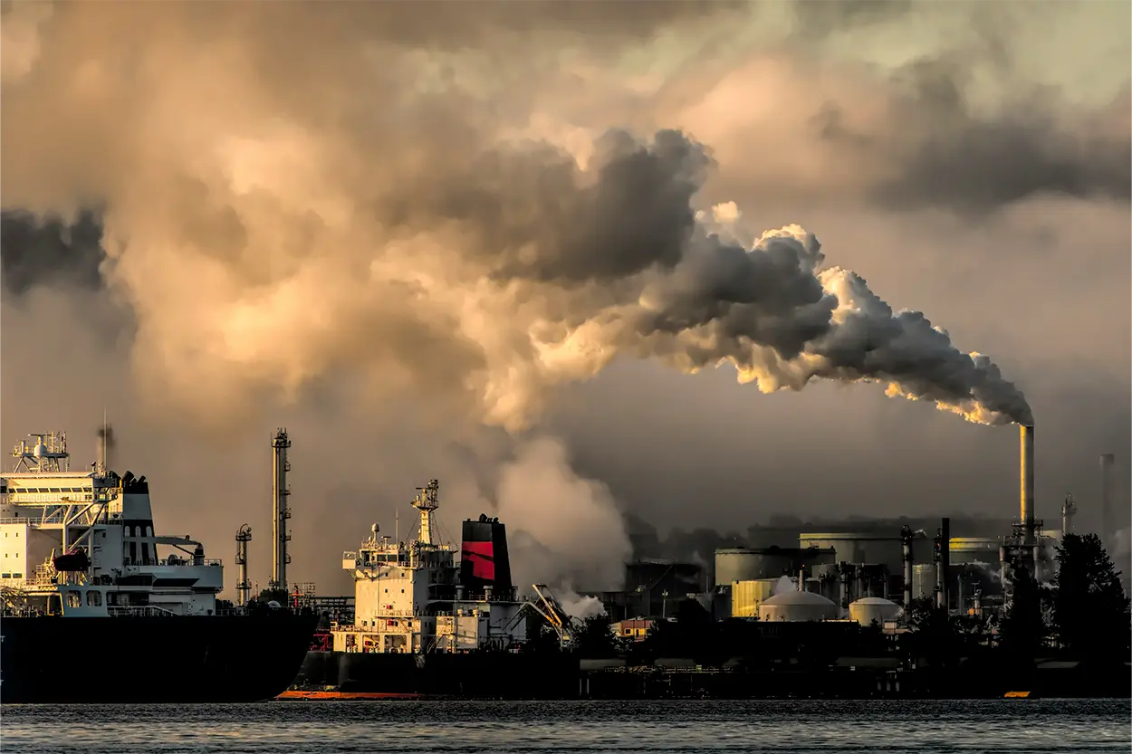 El cambio climático transformará la cesta de la compra y varios alimentos subirán de precio 1 cambio climático alimentación