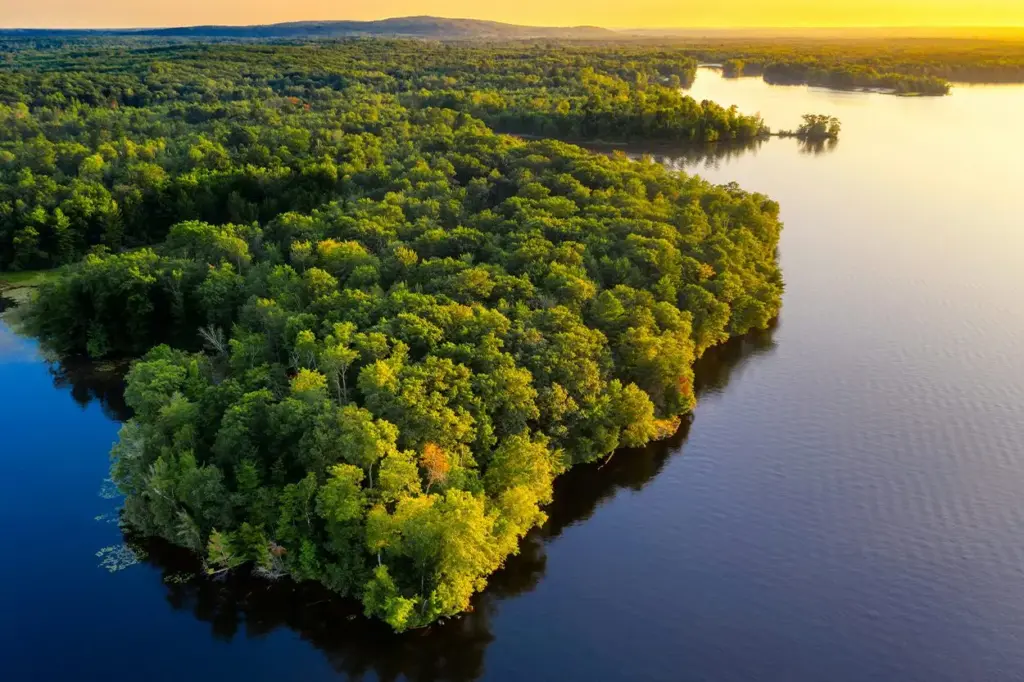 La selva amazónica sufre condiciones extremas que recuerdan a épocas prehistóricas remotas