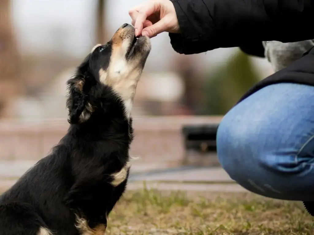 Multas de hasta 50.000 euros: cuando el bolsillo sí duele