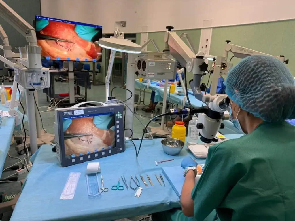 Un sistema que necesita médicos… pero no logra retenerlos