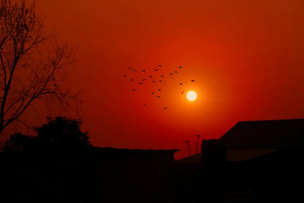 Una combinación inusual de tormenta, polvo y condiciones atmosféricas ha vuelto rojo el cielo en Australia