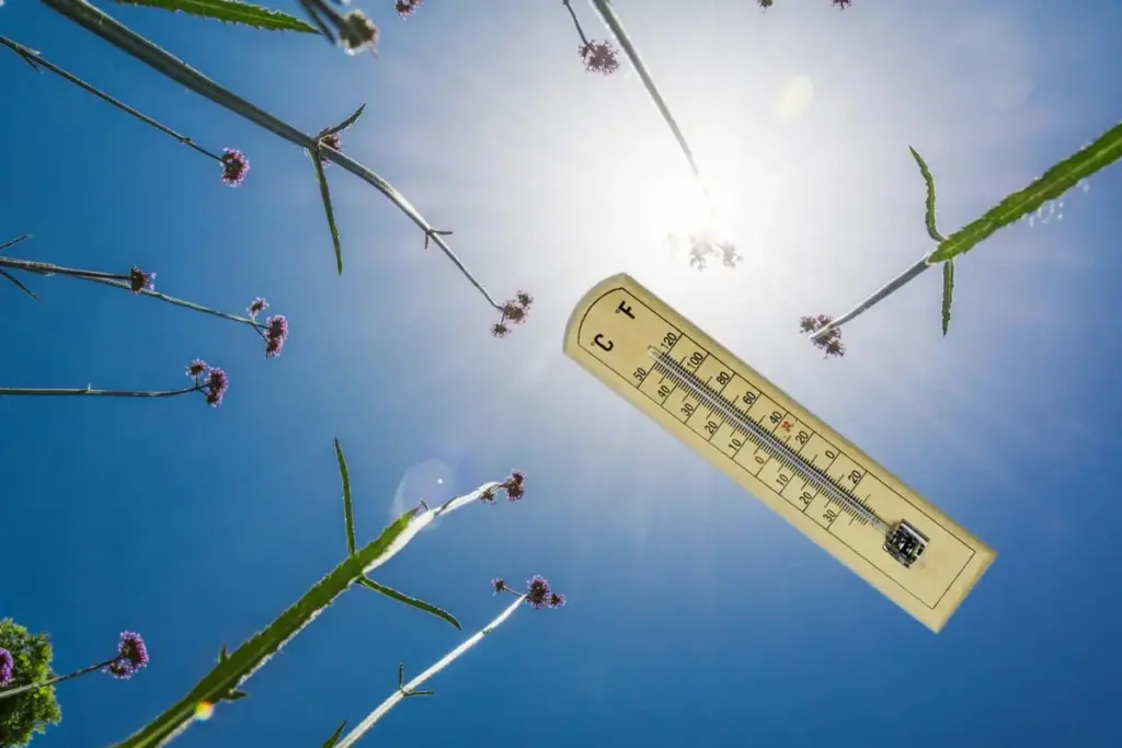Calor propio de verano