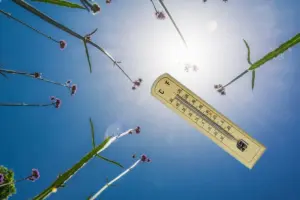 Aunque parezca mentira, a la AEMET le beneficia muchísimo el "calor de verano en abril" del que alerta