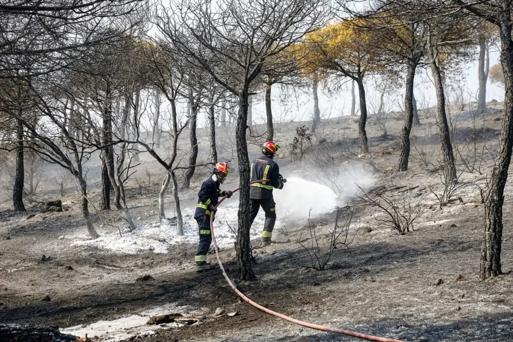 Bomberos de la Comunidad de Madrid extinguen un incendio en Colmenar Viejo