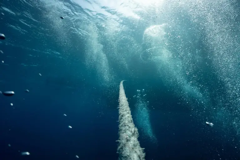 China demuestra que puede cortar los cables que sostienen internet