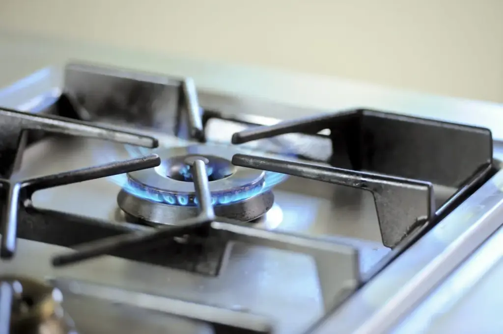 La infraestructura gasista: el engranaje invisible del sistema energético 1 Gas en casa