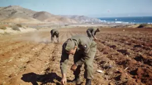 Ni "joya" ni playa virgen: el motivo por el que un ministro de Franco se bañó entre bombas nucleares