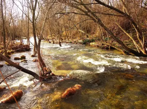 El día que el río Manzanares fue navegable por capricho de un rey El día que el río Manzanares fue navegable por capricho de un rey