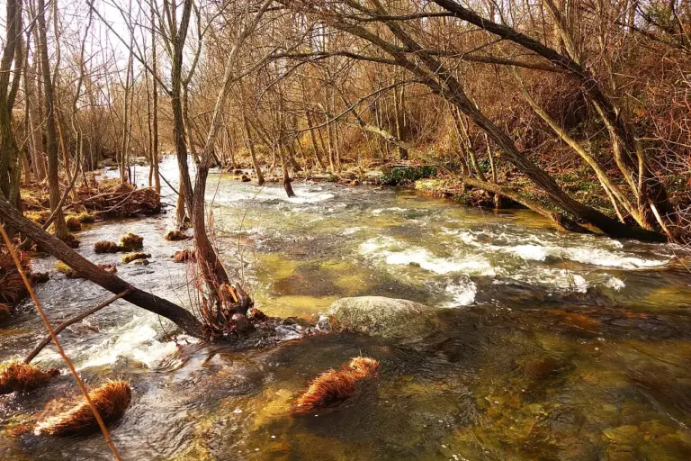 El día que el río Manzanares fue navegable por capricho de un rey