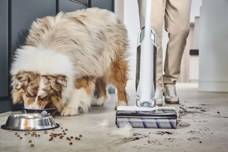 Los dispositivos de limpieza que facilitan la vida a quienes tienen mascotas en casa