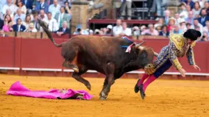Los duros obstáculos de salud que afronta Morante de la Puebla