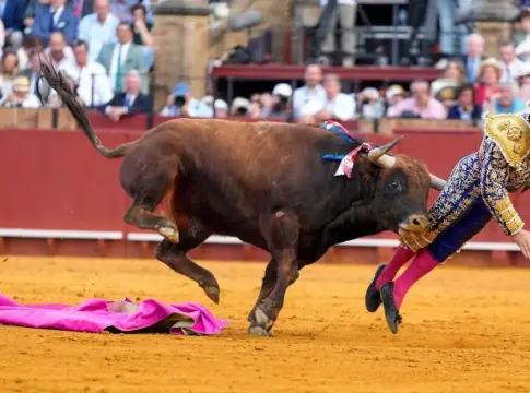 Los duros obstáculos de salud que afronta Morante de la Puebla | Fuente: RTVE Los duros obstáculos de salud que afronta Morante de la Puebla