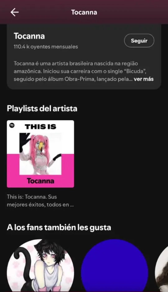 Spotify castiga a los artistas emergentes y premia la creación por IA 2 Perfil de Tocanna en Spotify