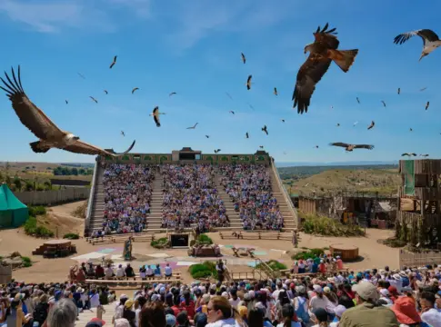 Puy du Fou Puy du Fou