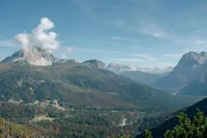 avistar animales salvajes en Italia