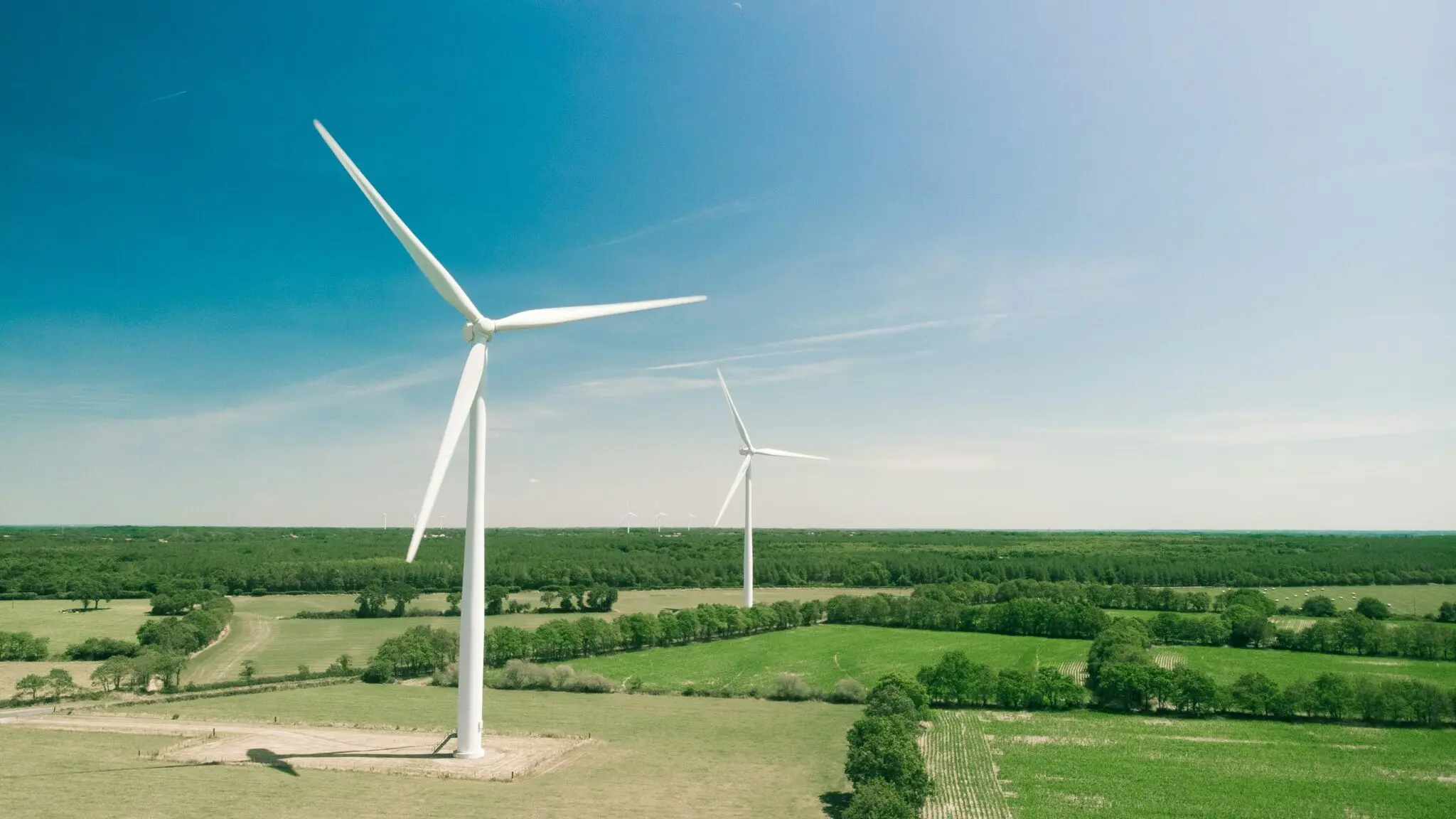 efectos del cambio climático