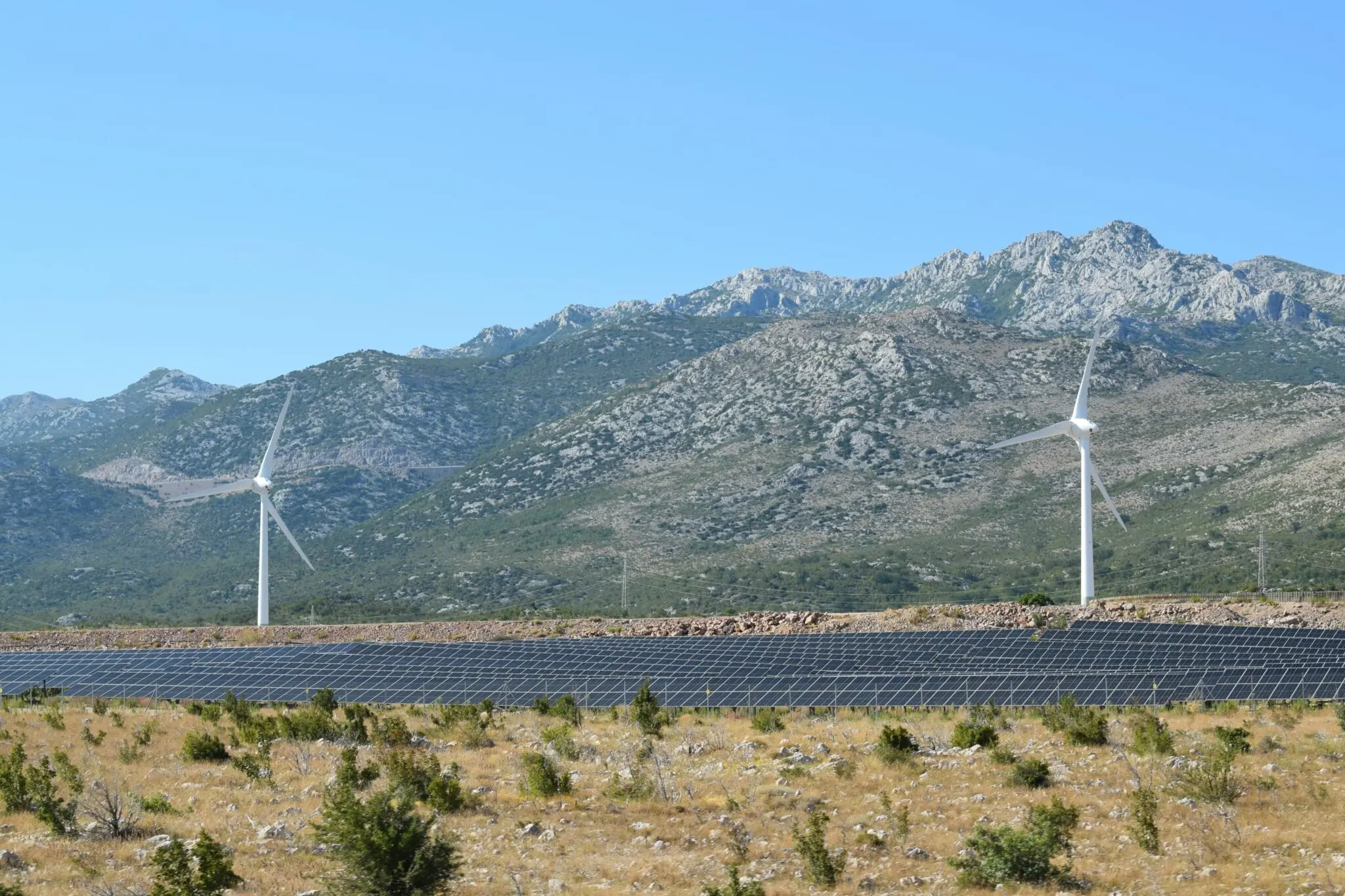 efectos del cambio climático