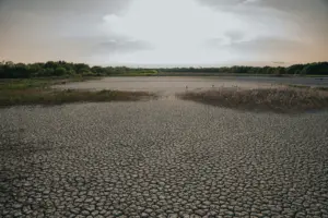 cambio climático causas y remedios