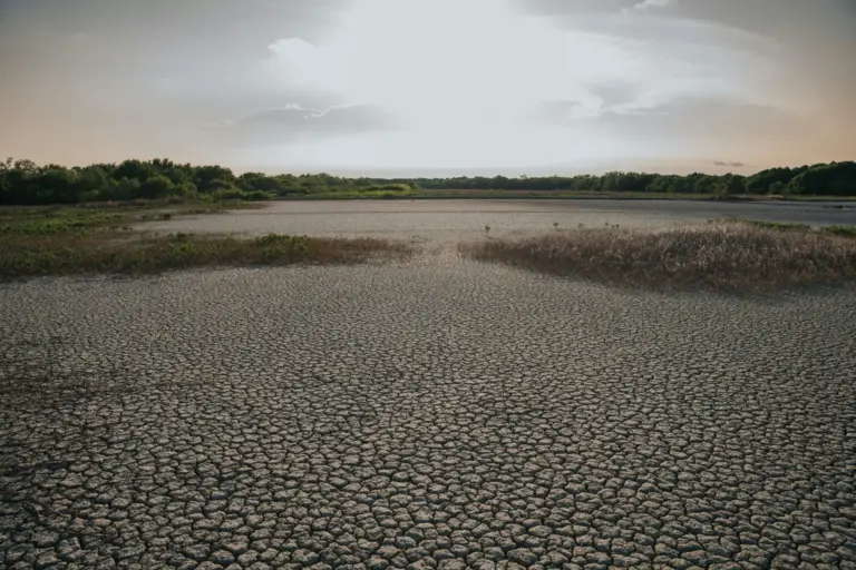 Causas del cambio climático y los remedios que propone la ciencia