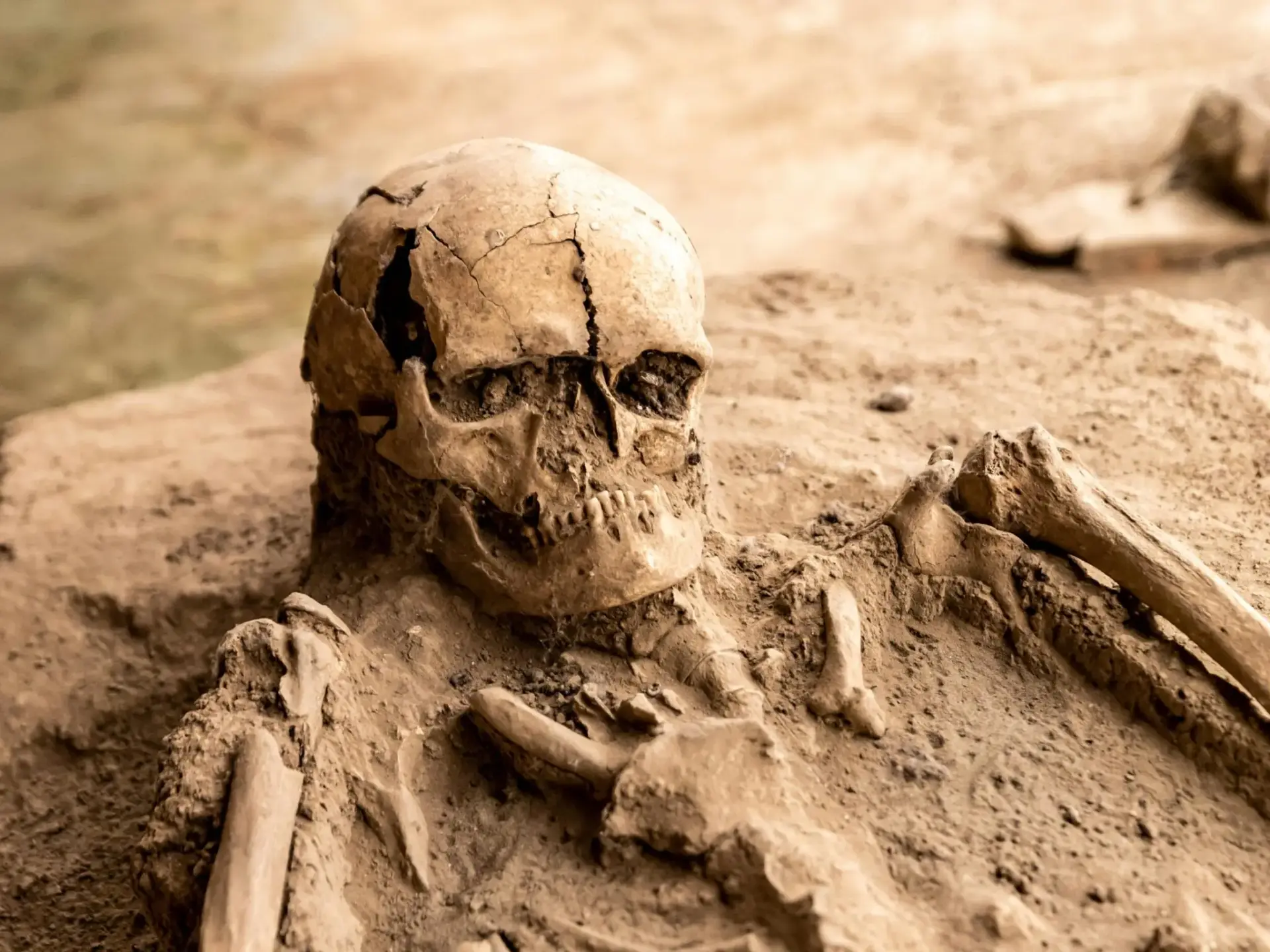 descubrimientos-australopithecus-homo-le-portada Nuevos descubrimientos de Australopithecus y Homo de Ledi-Geraru
