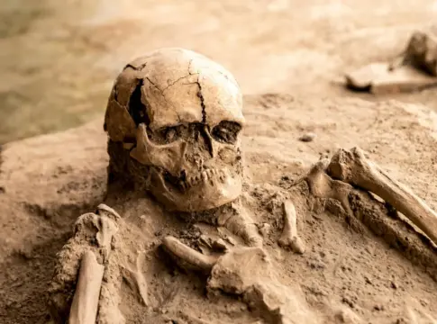 descubrimientos-australopithecus-homo-le-portada Nuevos descubrimientos de Australopithecus y Homo de Ledi-Geraru