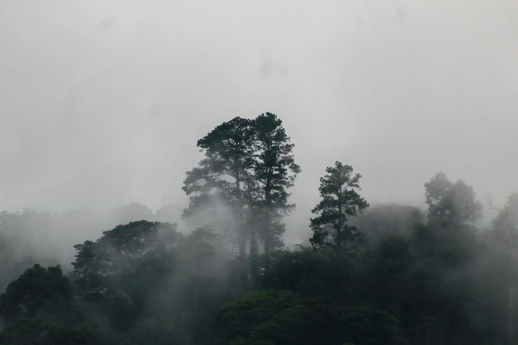 Ocho misterios de la Tierra que la ciencia aún no explica 2 enigmas de la Tierra