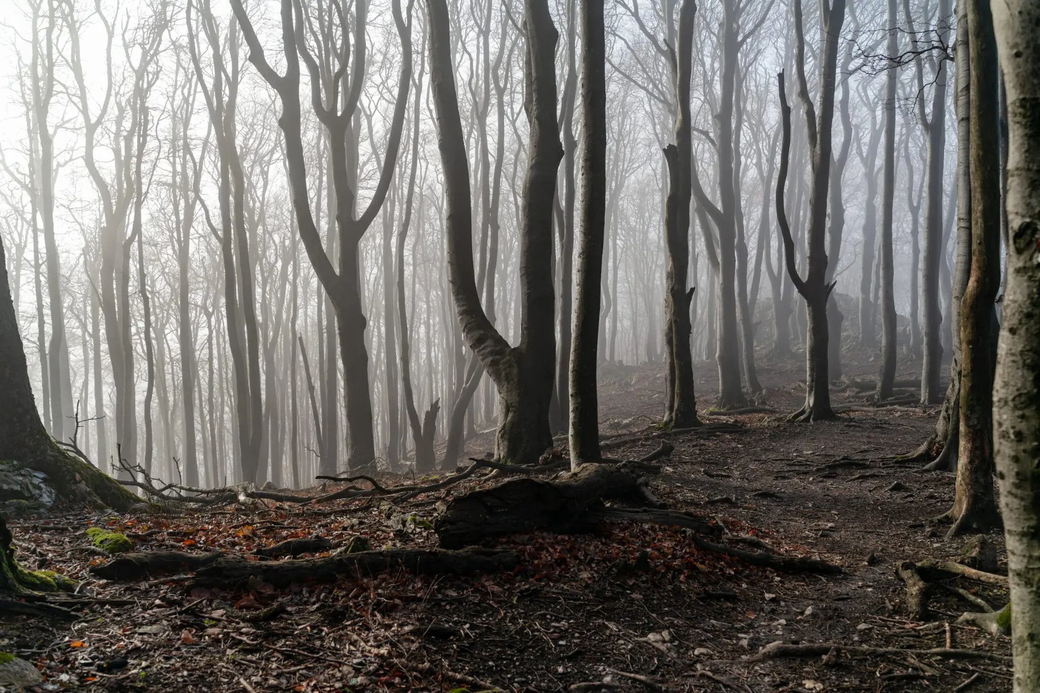 Estos son los lugares embrujados más terroríficos del mundo 1 lugares abandonados