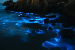 ocho fenómenos naturales en 2025