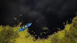 Seis parques nacionales que se exploran mejor en barco