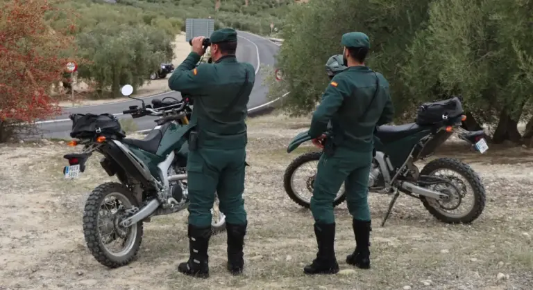 El SEPRONA desarticula una red de venta ilegal de cachorros con más de 600 afectados