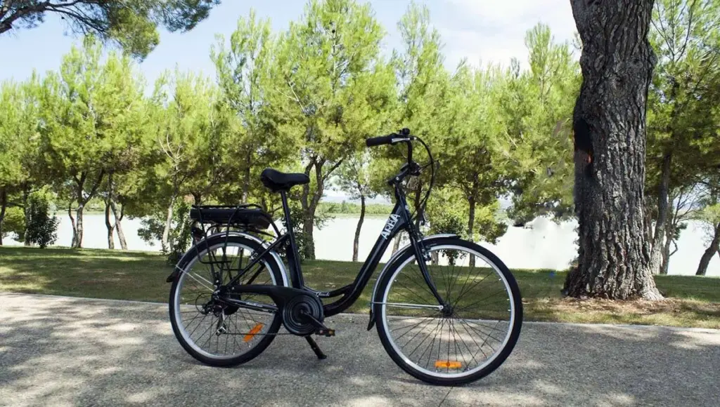 Locura absoluta en Carrefour por la bicicleta eléctrica de 26 pulgadas con motor de 250W 2 El peso del vehículo y las consideraciones logísticas de la compra