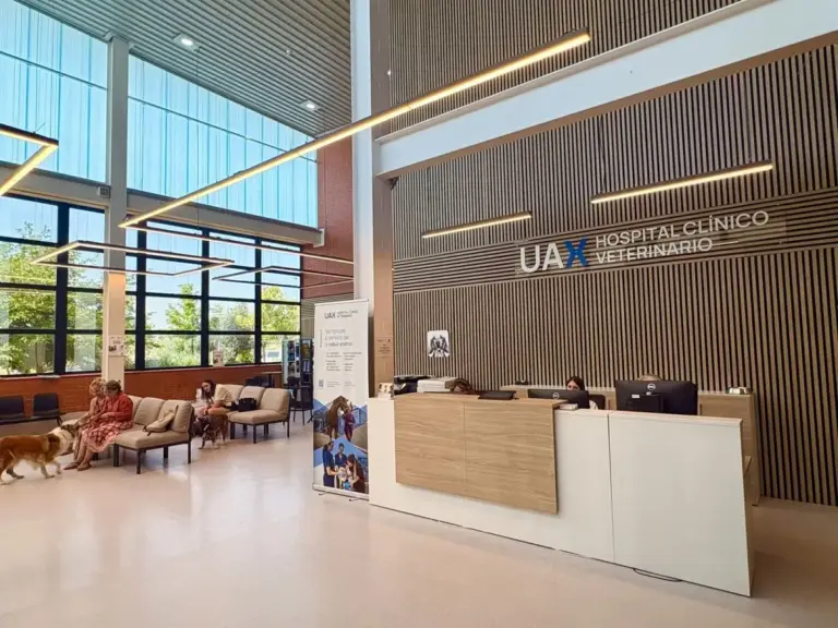 El Hospital Clínico Veterinario de UAX celebra 20 años de vanguardia veterinaria como referente europeo