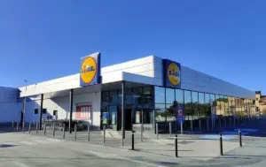Las sandalias de Lidl llegan el lunes 8 de junio por 11,99 €: imitan a las Hermés Orán