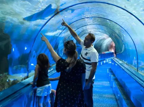 Marineland 2