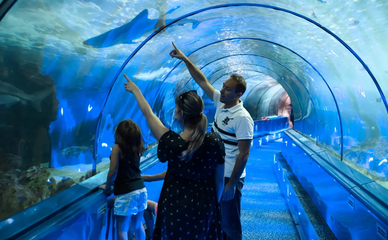 Marineland 2