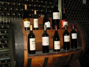 Ruta del Vino del Condado de Huelva: la nueva certificación que la convierte en destino enoturístico de élite