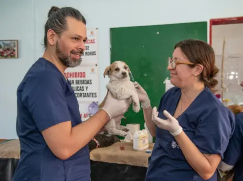 cribado-leishmaniosis-canina-v-leishmaniosis-perro-1 leishmaniosis perro verano