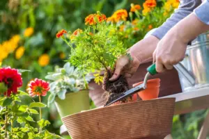 Formación en albañilería y jardinería para el empleo en Fuente de Piedra