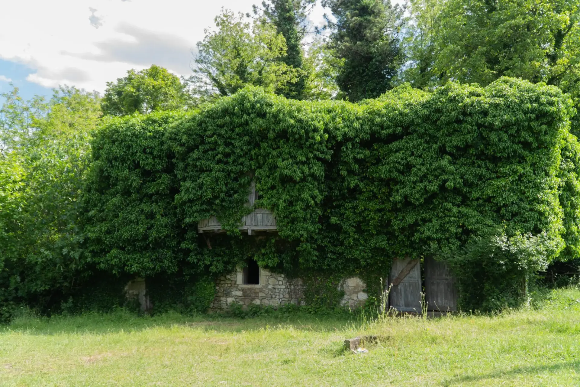 lugares-abandonados-reconquistados-por-l-portada 8 lugares abandonados que han sido reconquistados por la naturaleza