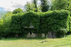 8 lugares abandonados que han sido reconquistados por la naturaleza