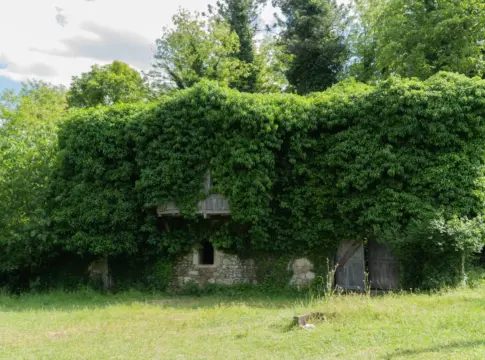 lugares-abandonados-reconquistados-por-l-portada 8 lugares abandonados que han sido reconquistados por la naturaleza