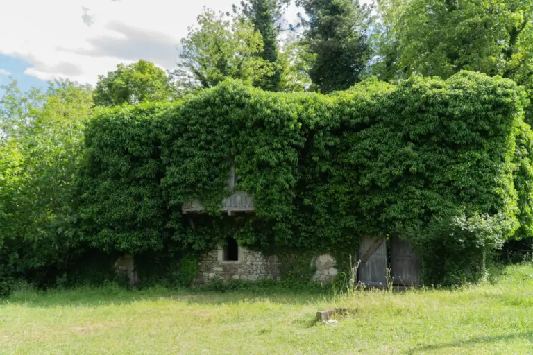 8 lugares abandonados reconquistados por la naturaleza (uno en España)