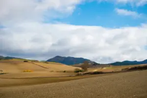 ola de calor junio