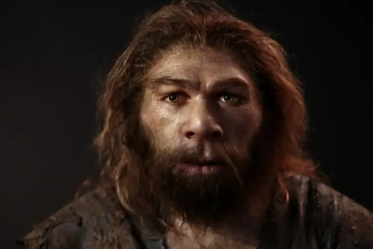 Insectos en la dieta de los sapiens: el sarro dental revela que los europeos los perdieron (los neandertales no)