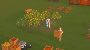 seed videojuego