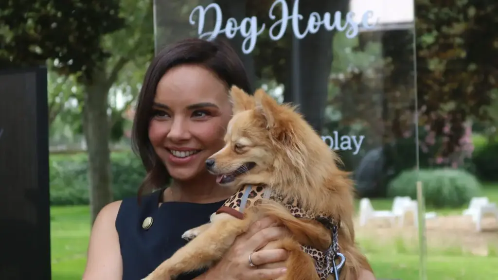 "No han hecho nada": Las impensables verdades que una protectora destapa sobre 'Dog House' de RTVE 2 La falta de pedagogía sobre el abandono en 'Dog House'