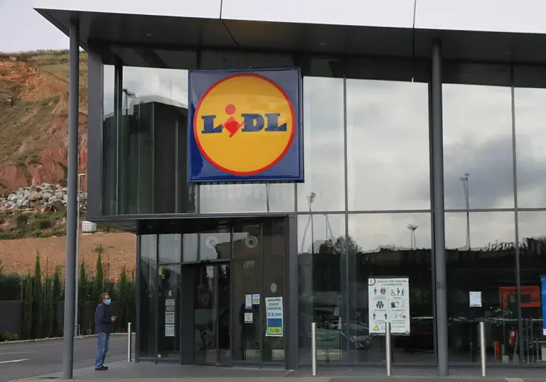 Plantas baratas en Lidl para este verano: la de 4,99 euros que florece todo el verano