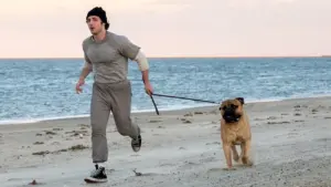 Yo soy Rocky